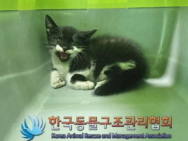 종료(자연사) 한국…